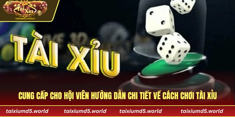Cung cấp cho hội viên hướng dẫn chi tiết về cách chơi tài xỉu cho người mới