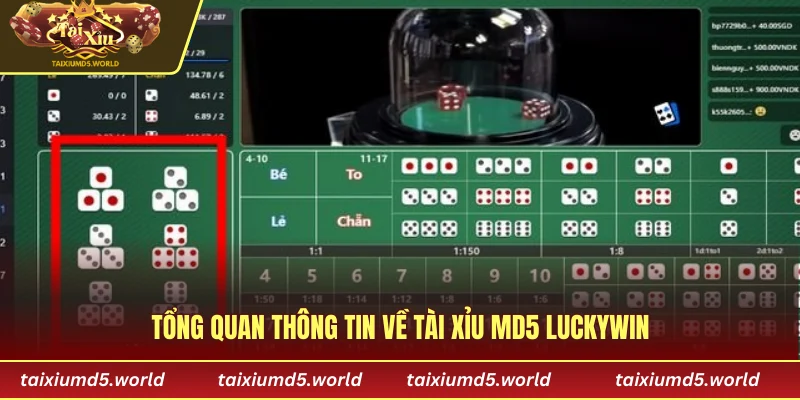 Tổng quan thông tin về tài xỉu MD5 Luckywin